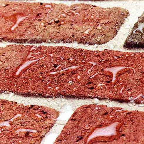 Water Beading on Bricks Water Beading on Bricks